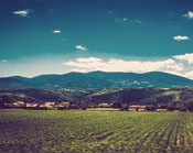 短信压力测试器