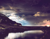 云呼死你网页版